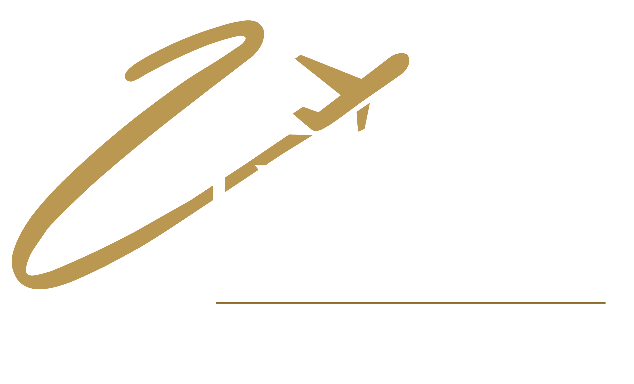 Unison Consulting, Inc.